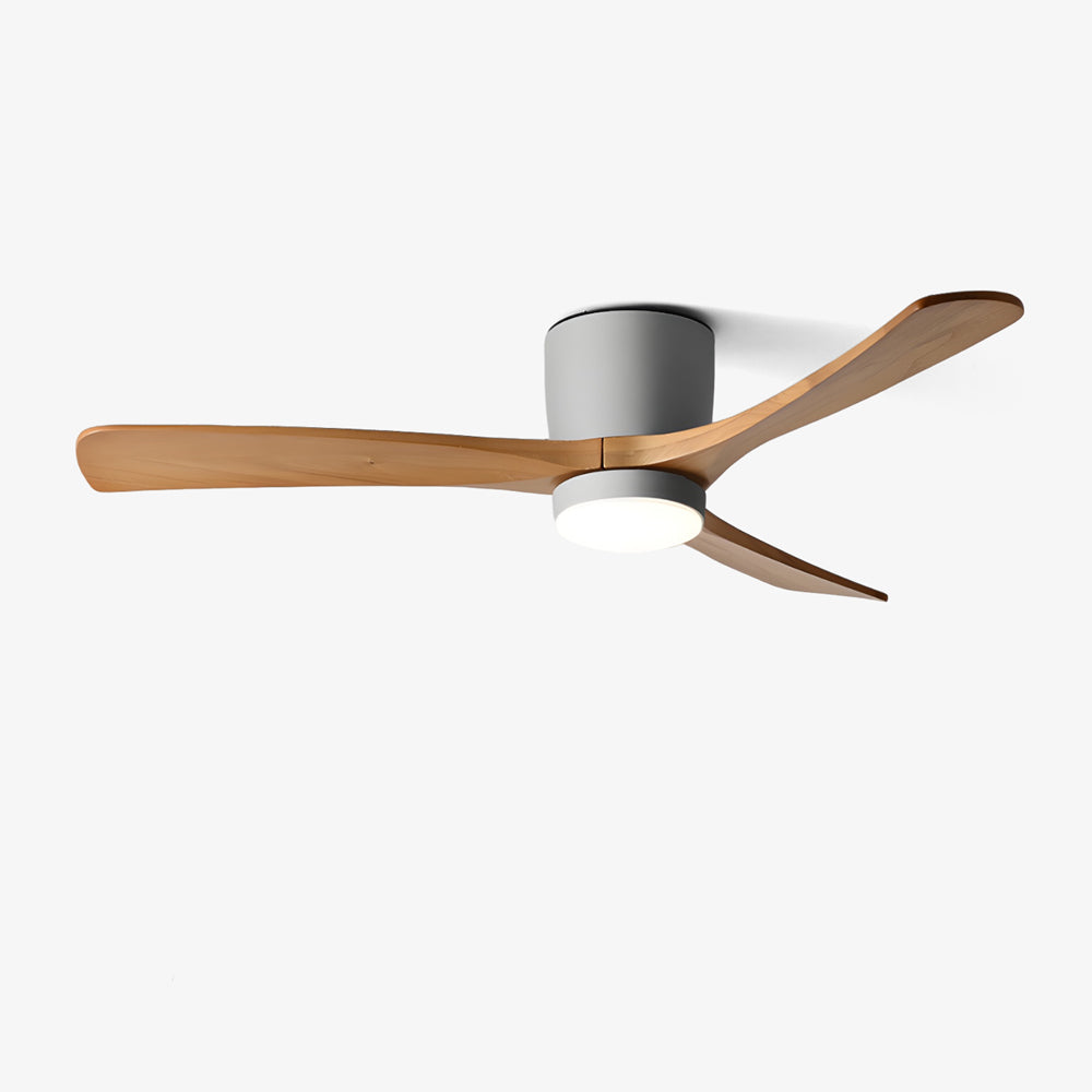 WINTHROP WHIRL CEILING ILLUMINATOR