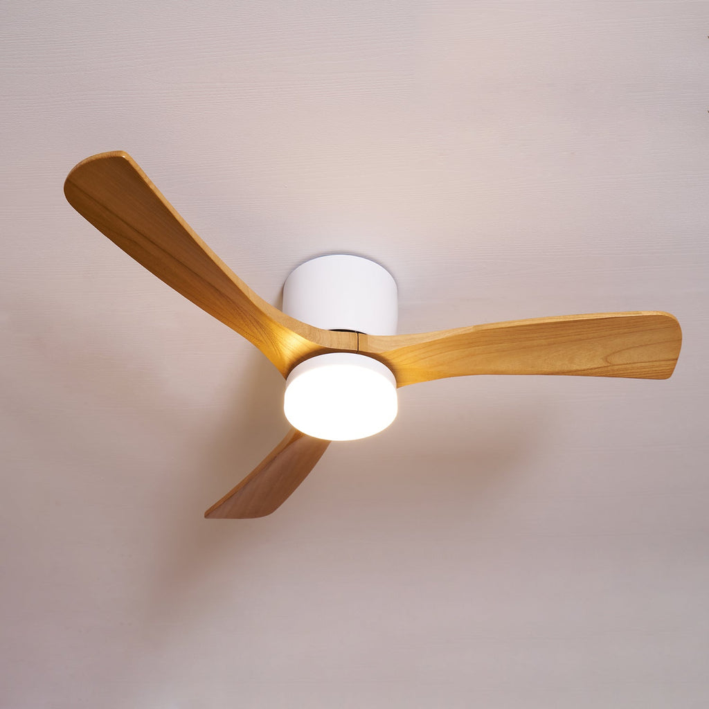 WINTHROP WHIRL CEILING ILLUMINATOR