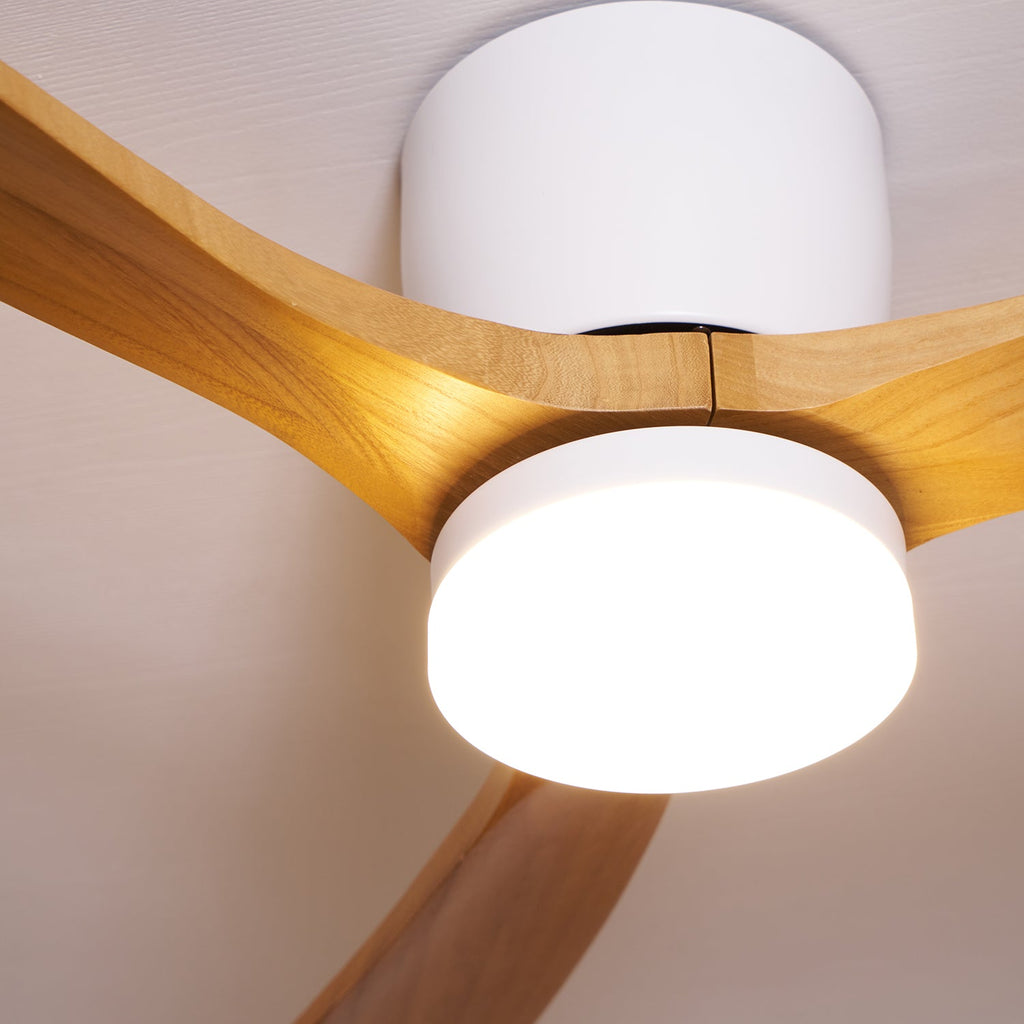 WINTHROP WHIRL CEILING ILLUMINATOR