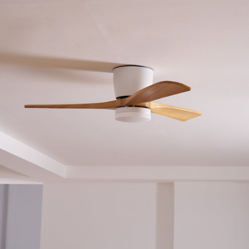 WINTHROP WHIRL CEILING ILLUMINATOR