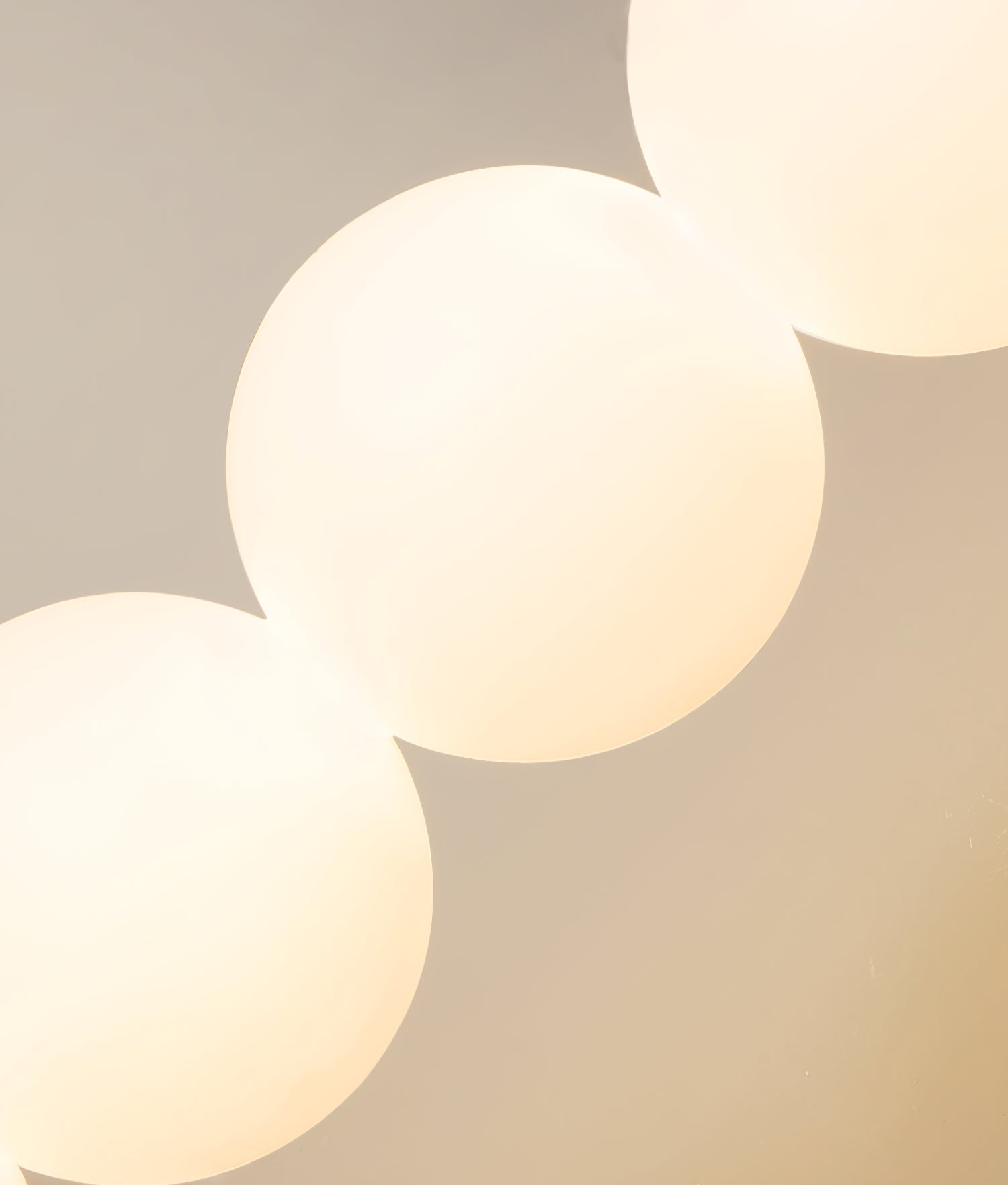RAVENWOOD FRUIT BERRY ILLUMINATOR