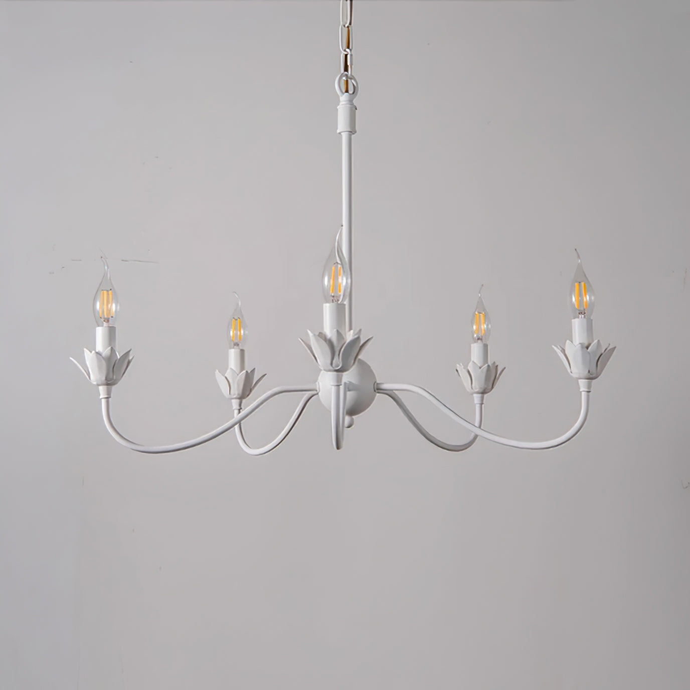 RAVENWOOD CRYSTAL DROPLET LIGHTING FIXTURE