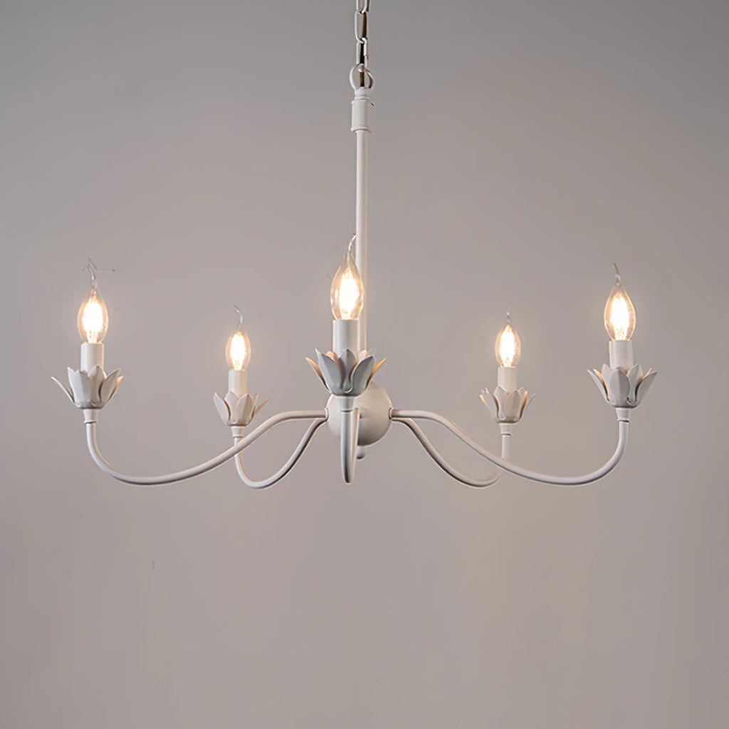 RAVENWOOD CRYSTAL DROPLET LIGHTING FIXTURE