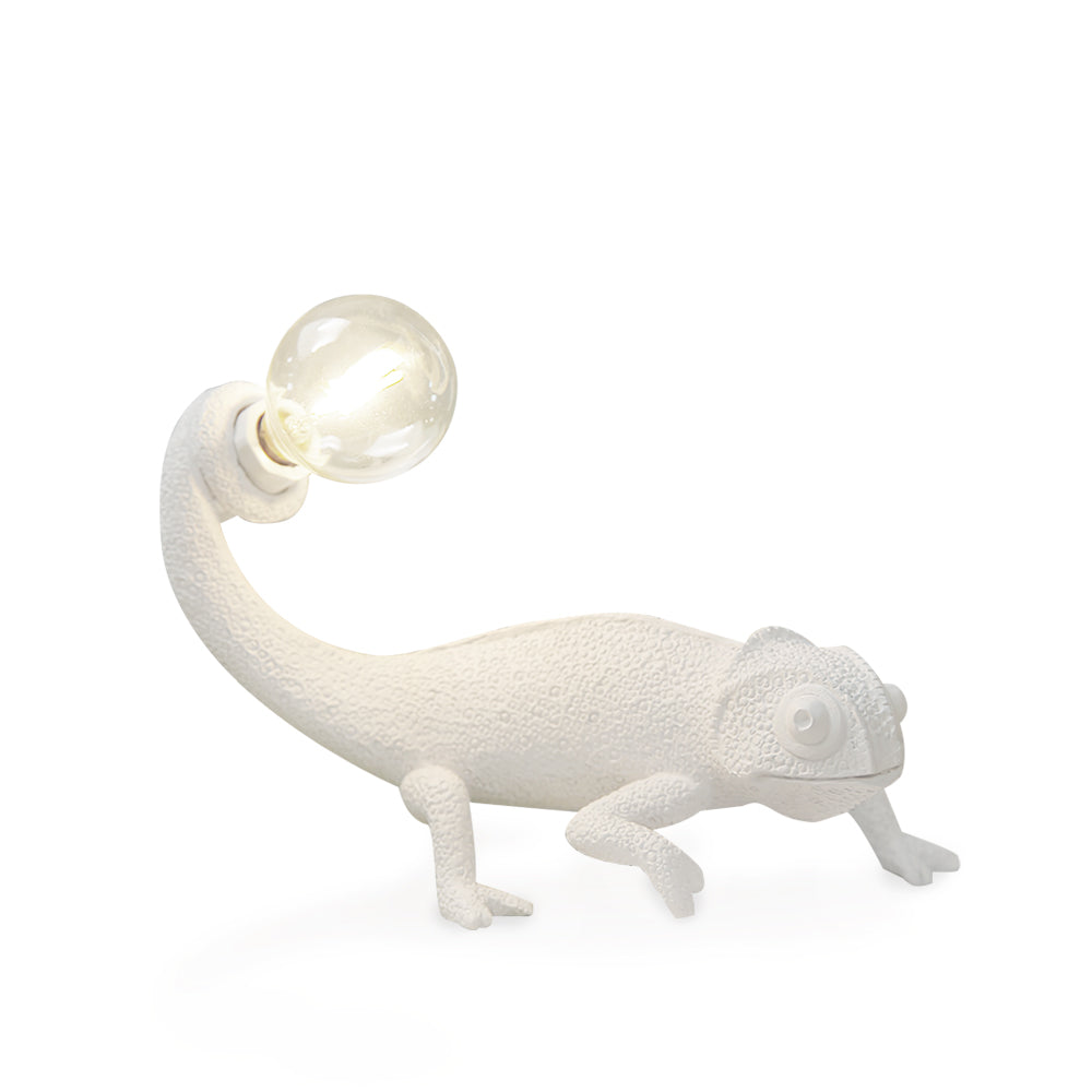 VERITY HUES TRANSFORMATIVE LAMP