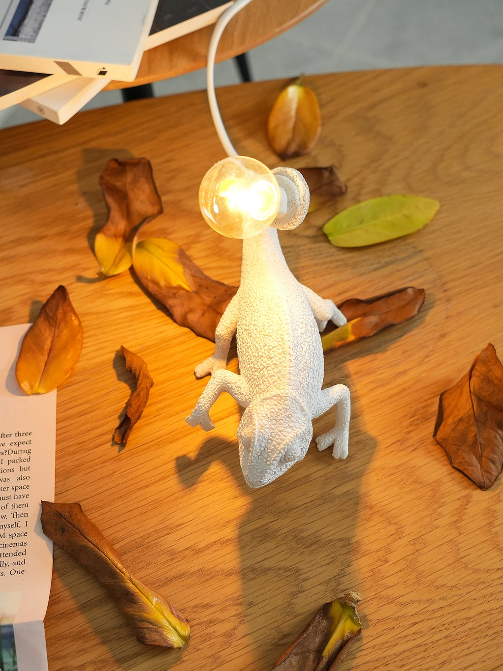 VERITY HUES TRANSFORMATIVE LAMP