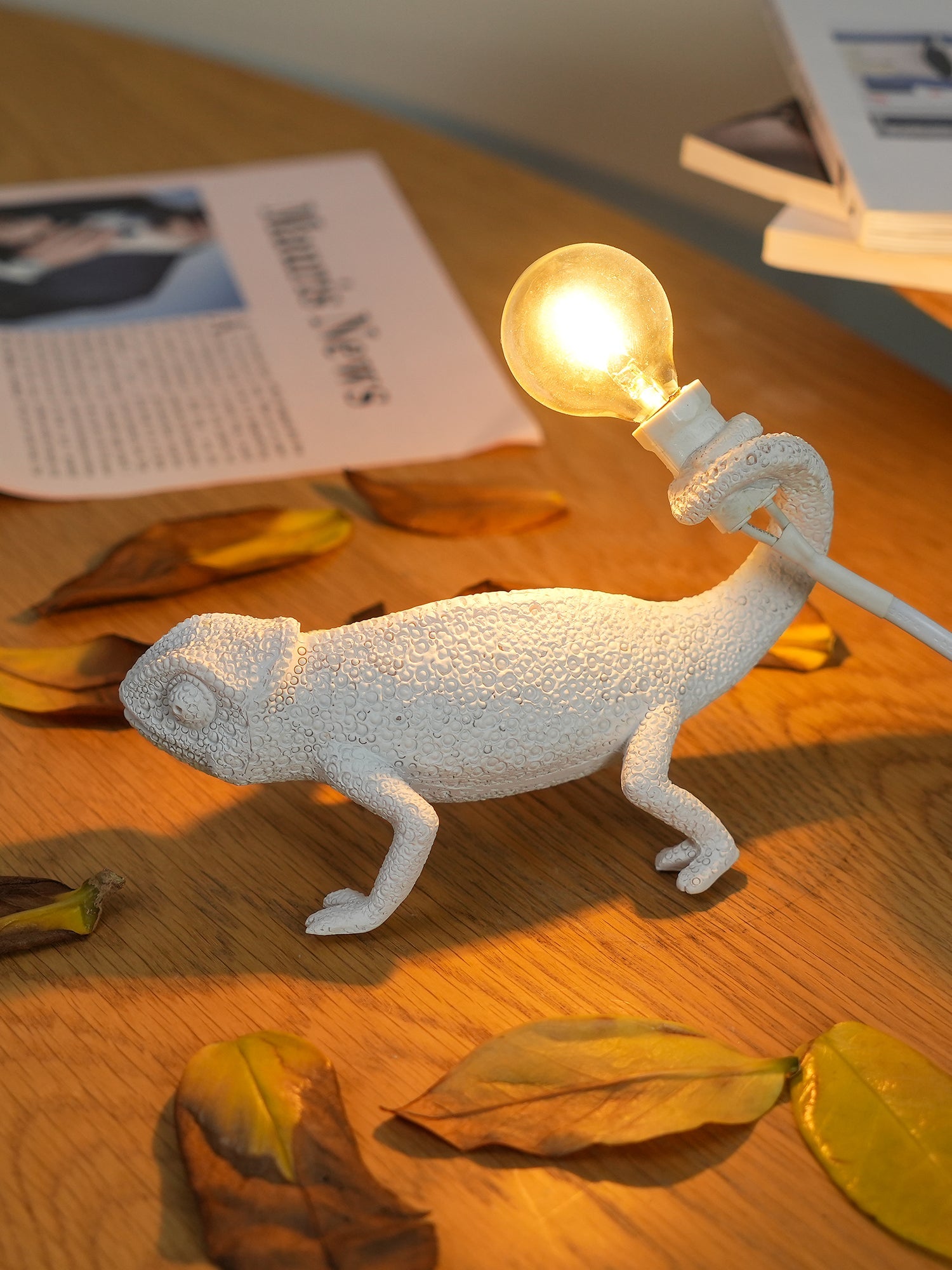 VERITY HUES TRANSFORMATIVE LAMP