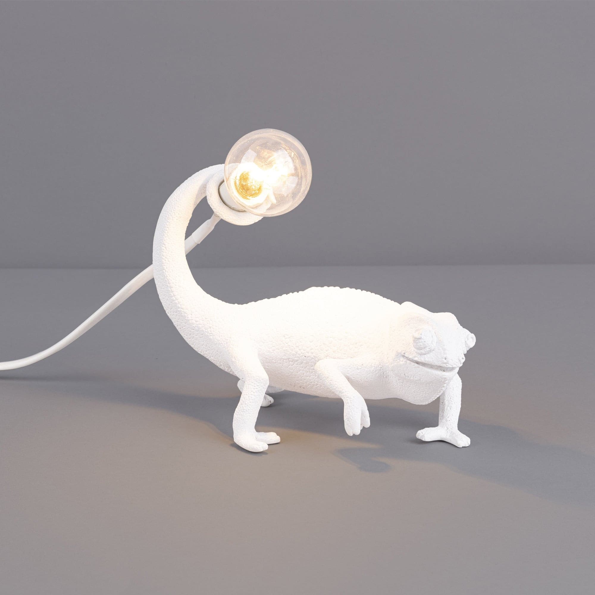 VERITY HUES TRANSFORMATIVE LAMP