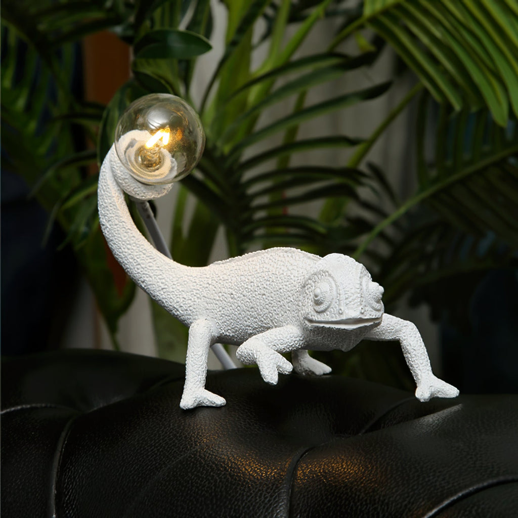 VERITY HUES TRANSFORMATIVE LAMP