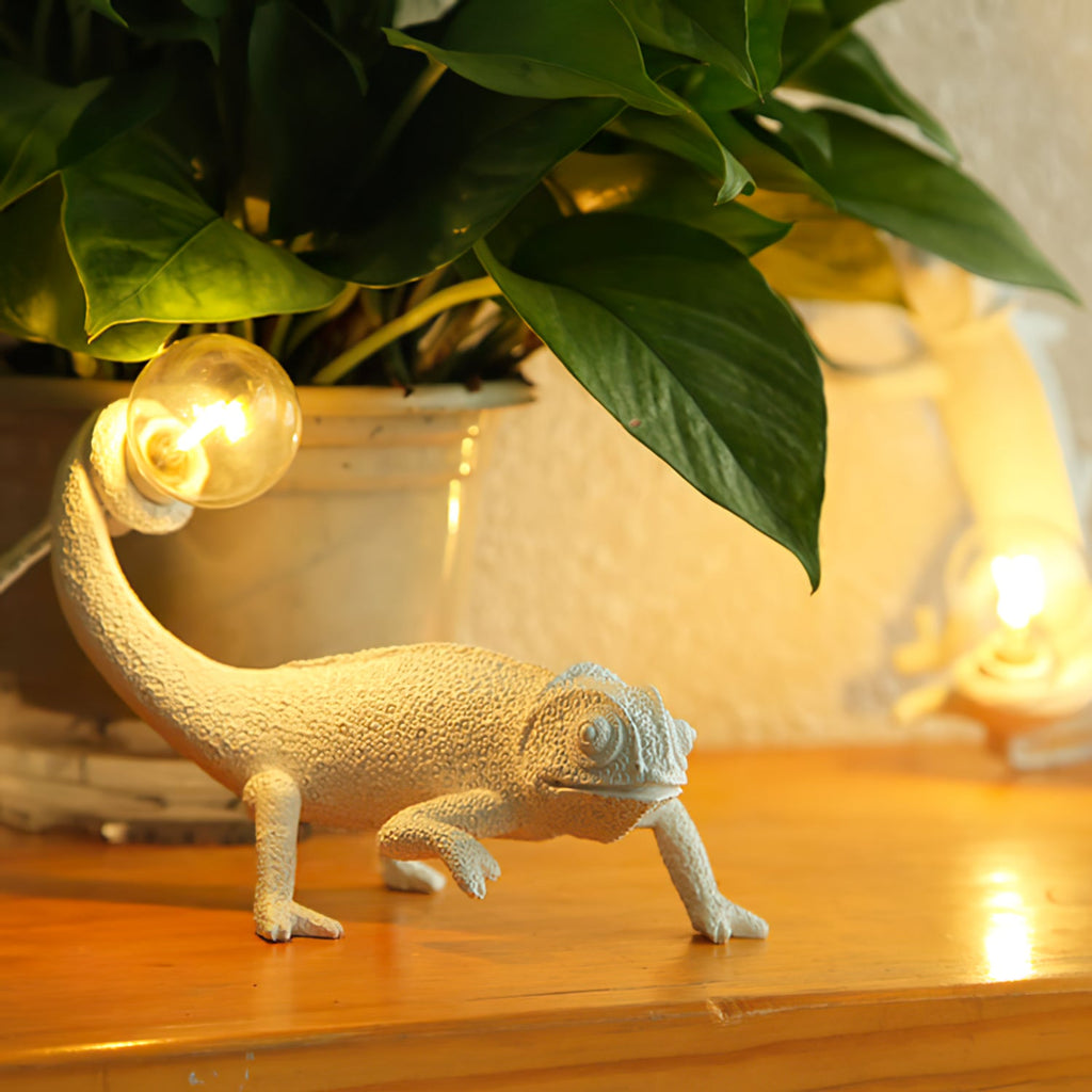 VERITY HUES TRANSFORMATIVE LAMP