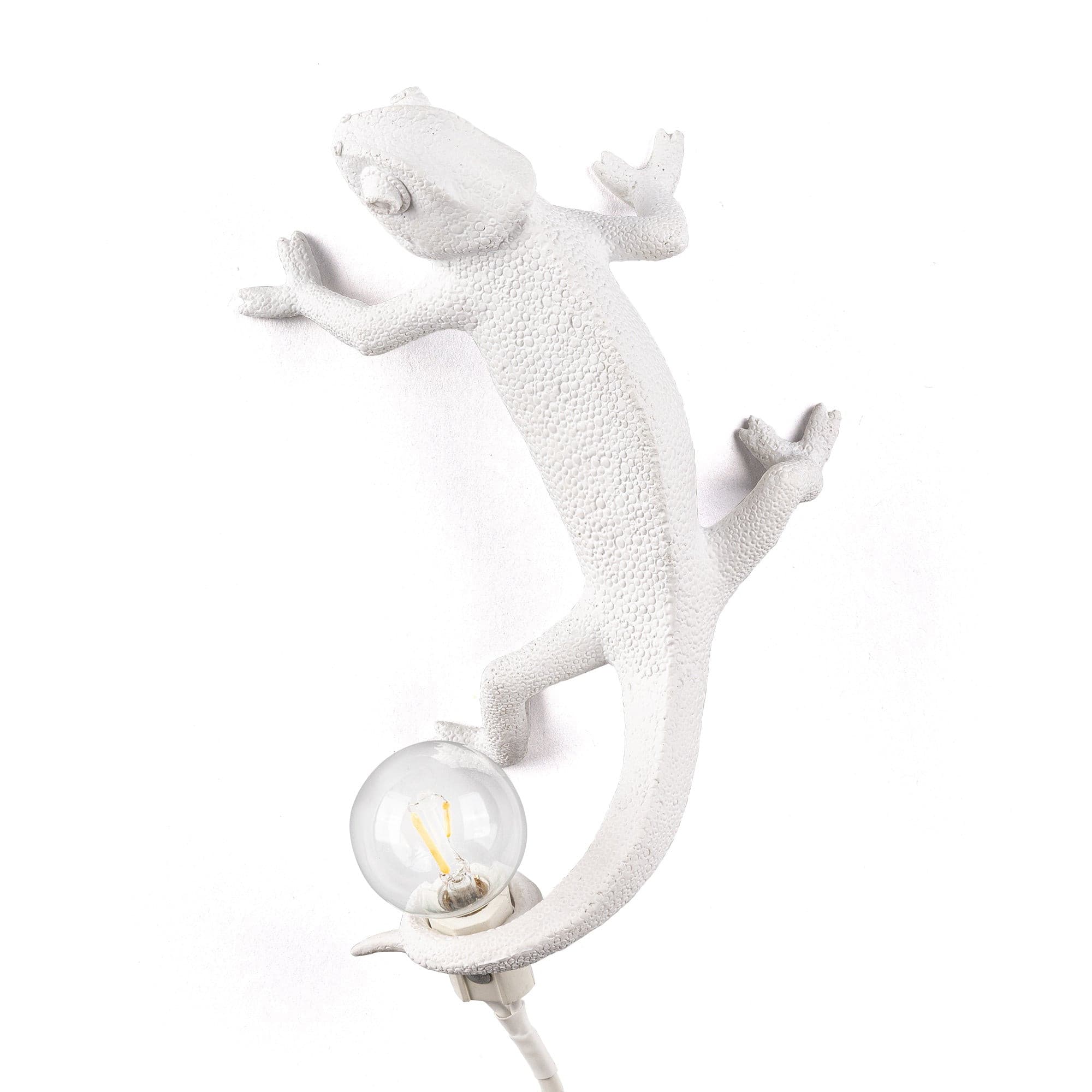 VERDANT HUES ADJUSTABLE WALL SCONCE