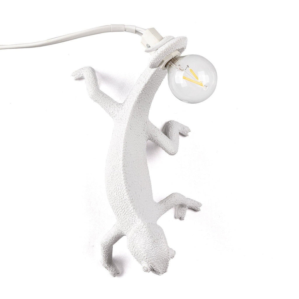 VERDANT HUES ADJUSTABLE WALL SCONCE