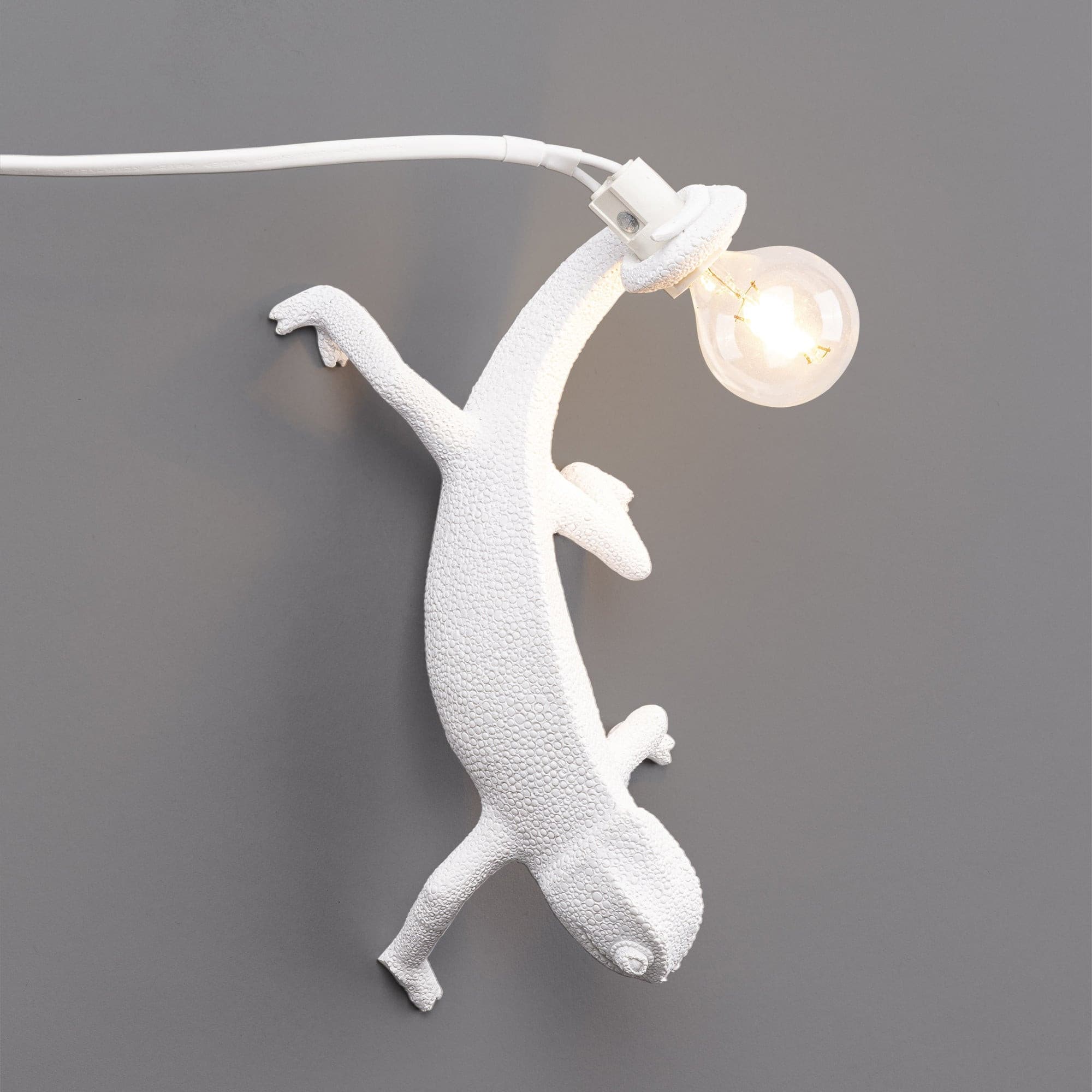 VERDANT HUES ADJUSTABLE WALL SCONCE