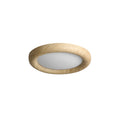 WINTHORPE MINIMALIST FLUSH MOUNT LIGHT