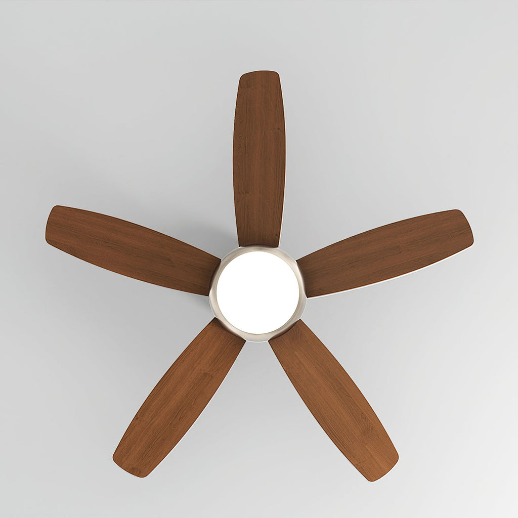 RAVENHURST AURORA CEILING LIGHTING FIXTURE