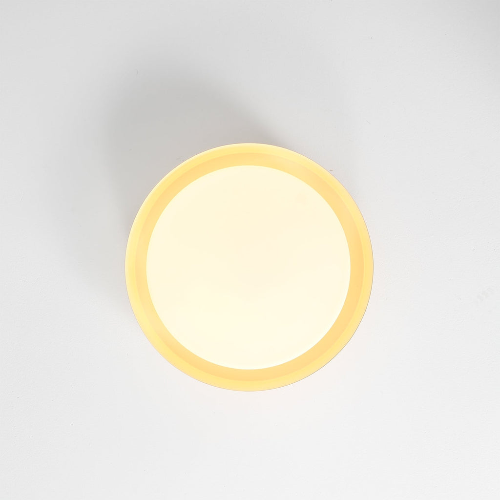 RAVENWOOD GLASS DOME CEILING FIXTURE