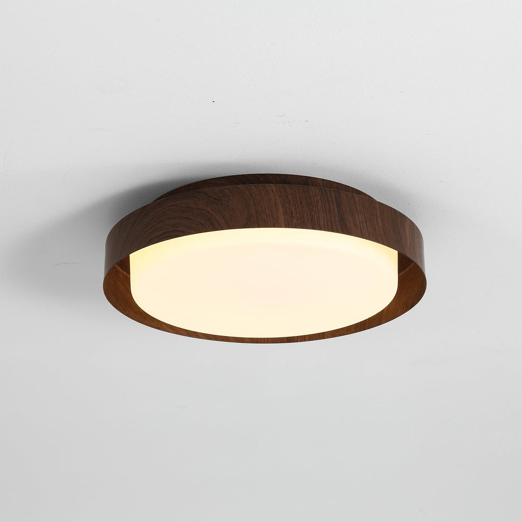 RAVENWOOD GLASS DOME CEILING FIXTURE