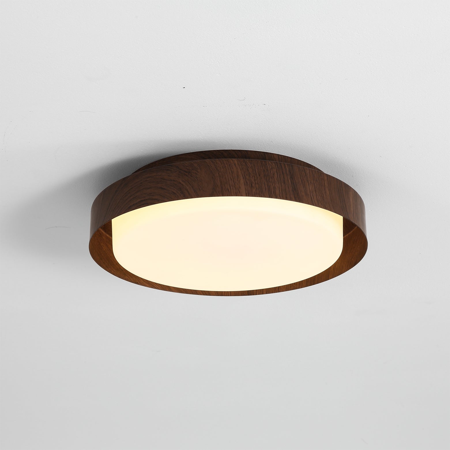RAVENWOOD GLASS DOME CEILING FIXTURE