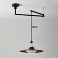 WINTHORPE ADJUSTABLE ARM HANGING LAMP