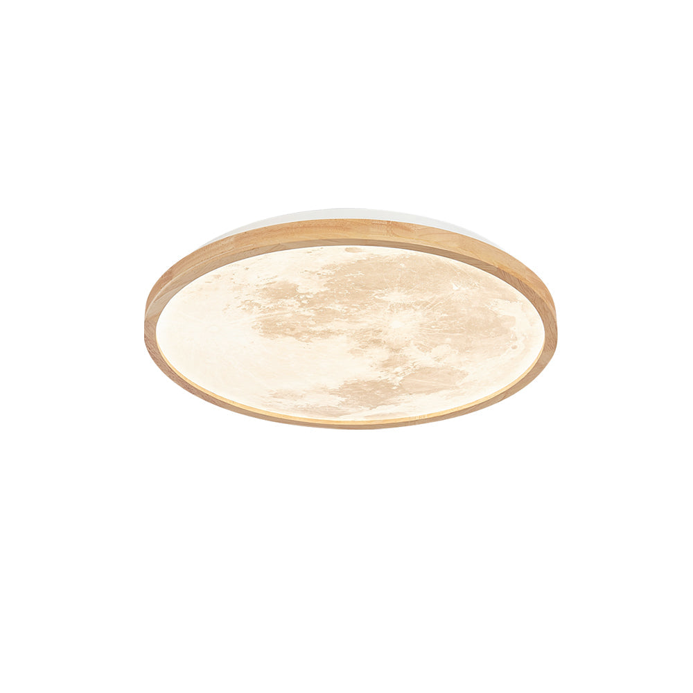 RAVENSCROFT FROSTED GLASS CEILING ILLUMINATOR
