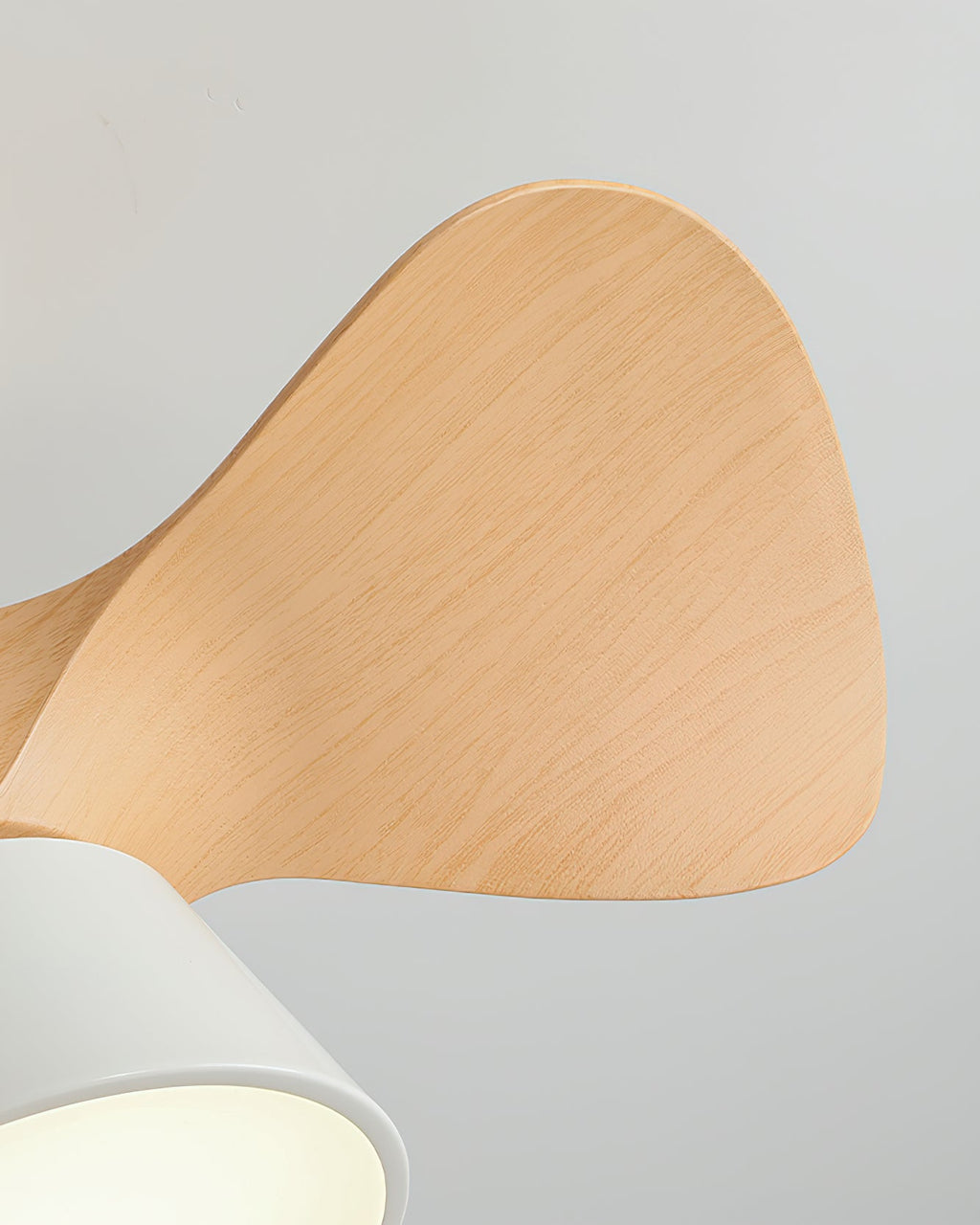 WINTHROP WHIRL CEILING LUMINAIRE