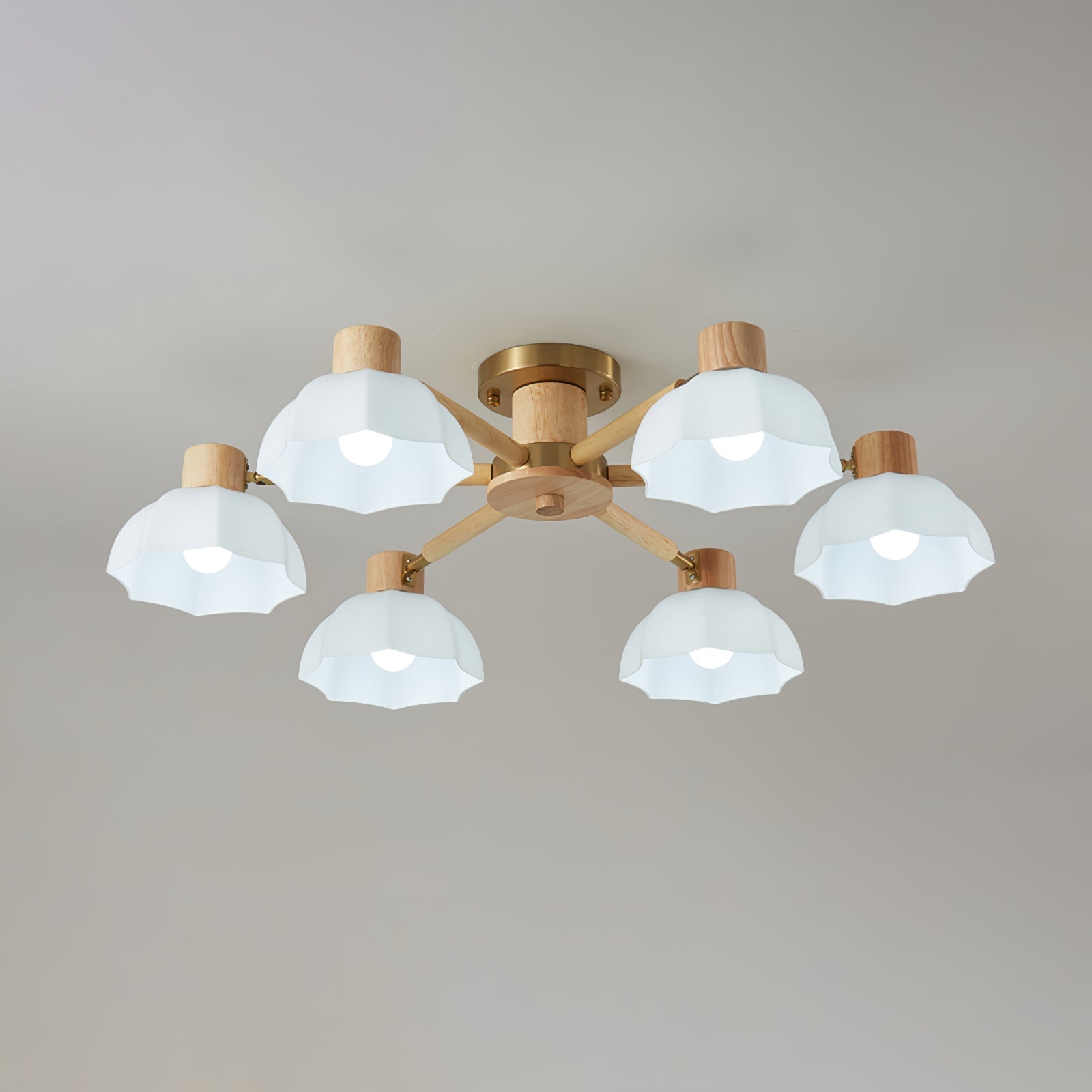 VERITY BLOOMING CANOPY LIGHT