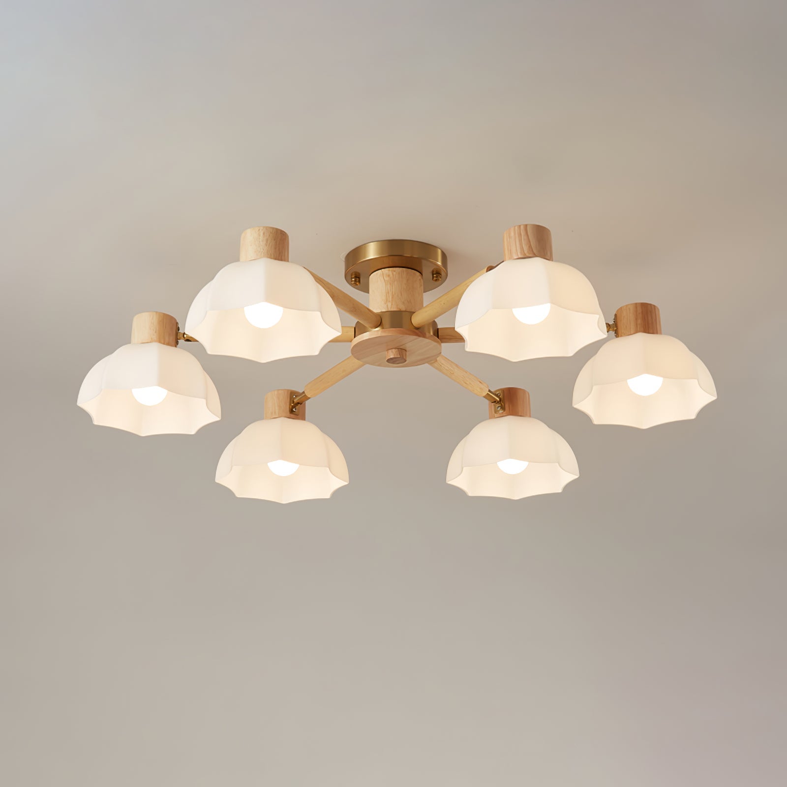 VERITY BLOOMING CANOPY LIGHT