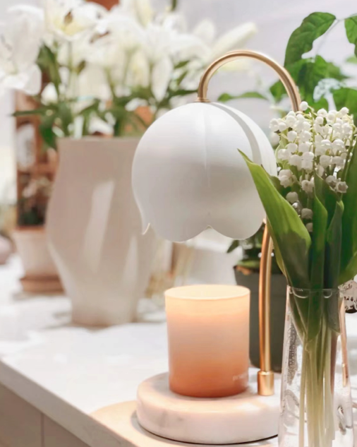 HEATHCLIFF FLORAL ILLUMINATION LANTERN