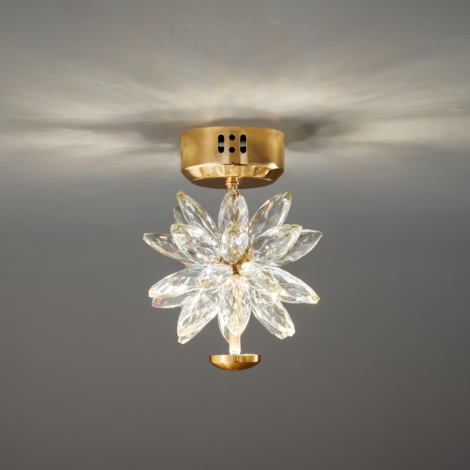 ISLA PETAL INSPIRATION CEILING LIGHT