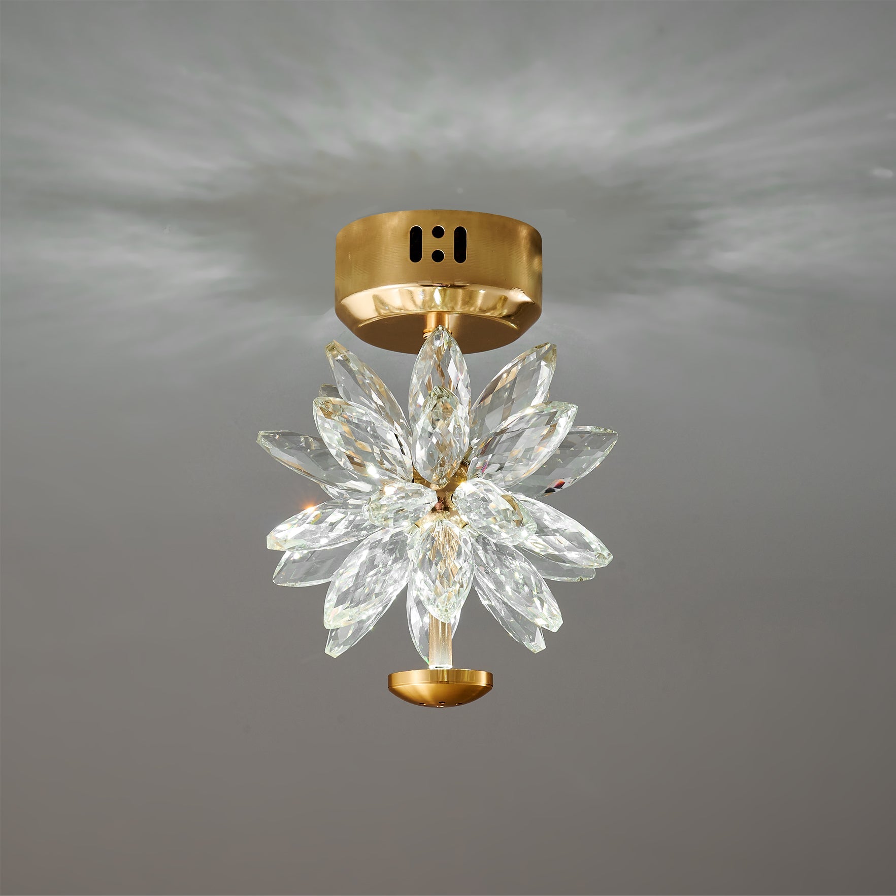 ISLA PETAL INSPIRATION CEILING LIGHT