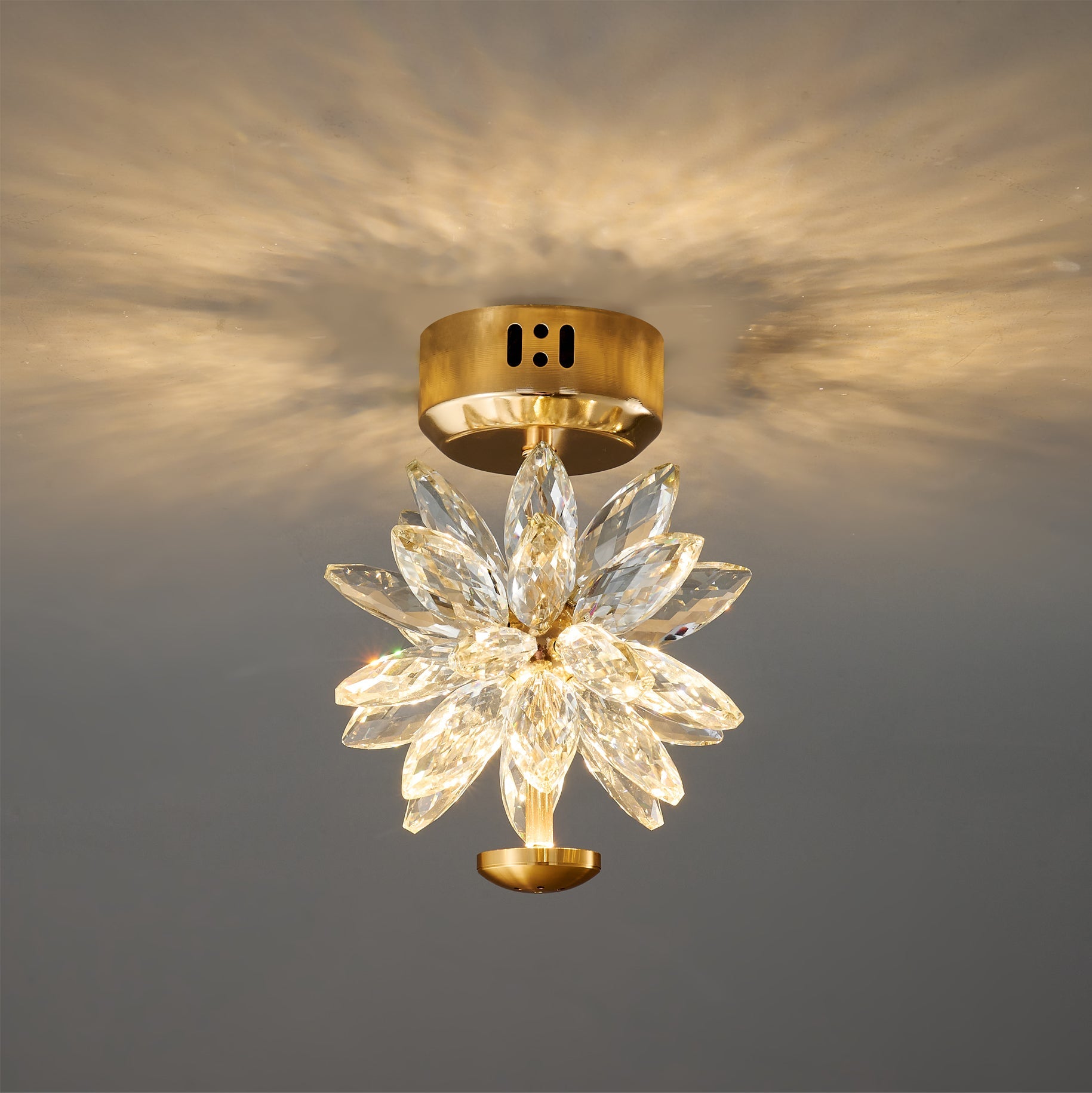 ISLA PETAL INSPIRATION CEILING LIGHT