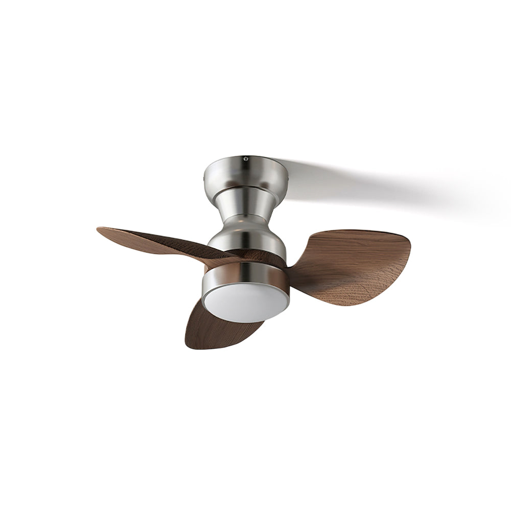 ALDERSON AURORA CEILING ILLUMINATOR