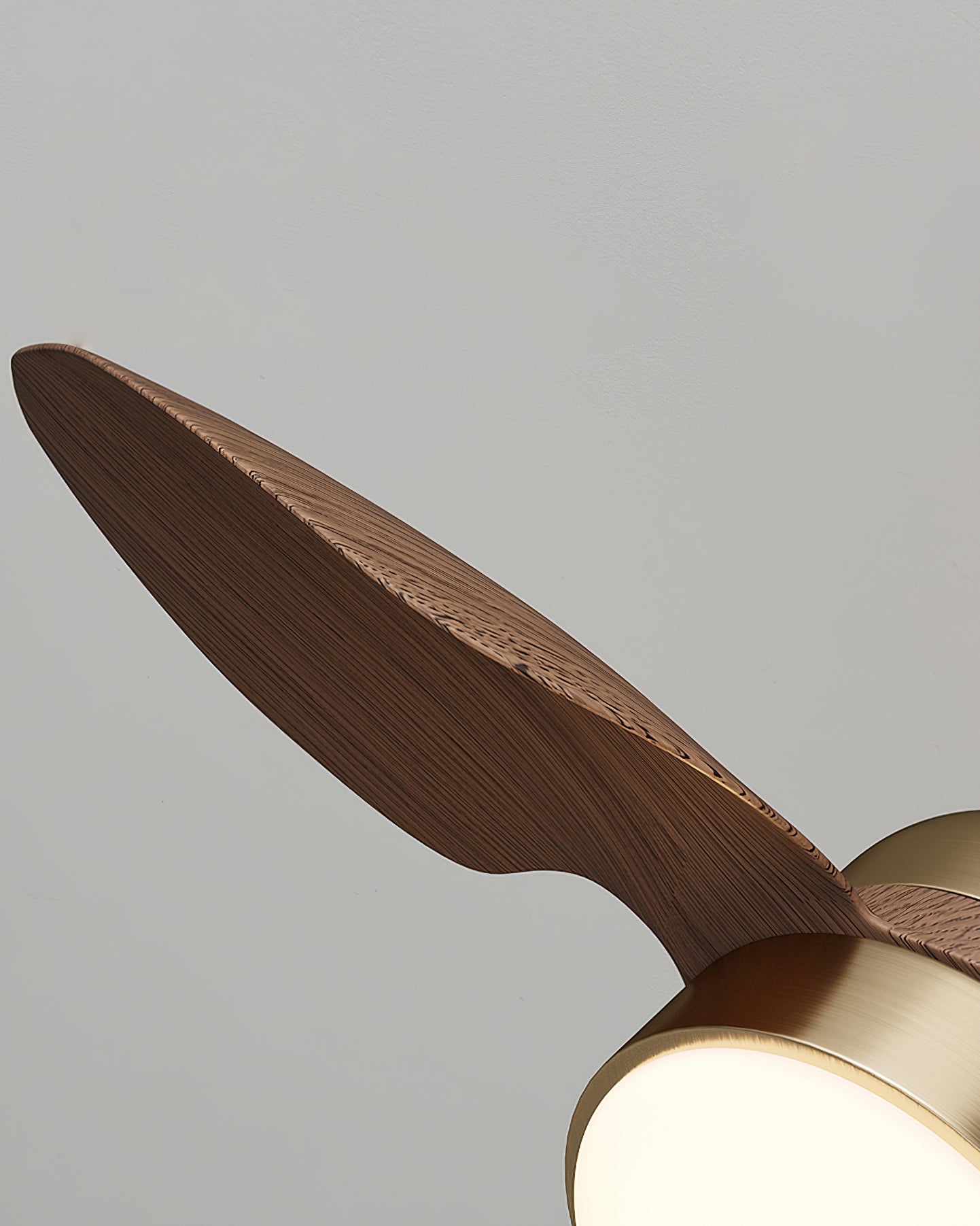 ALDERSON AURORA CEILING ILLUMINATOR