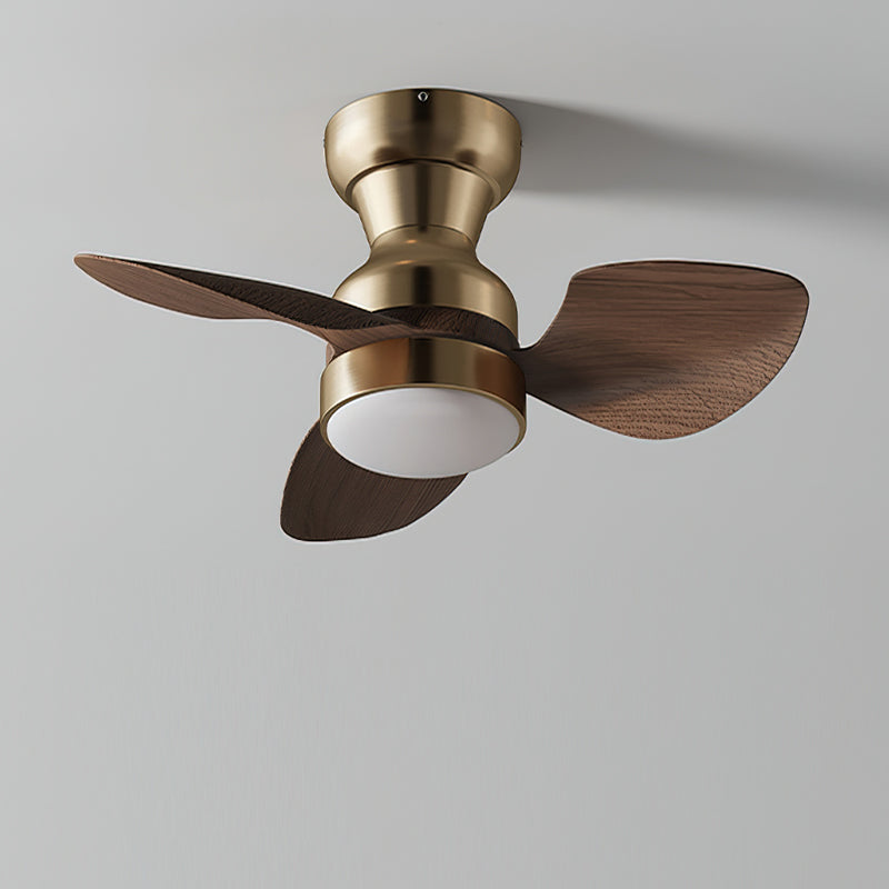 ALDERSON AURORA CEILING ILLUMINATOR