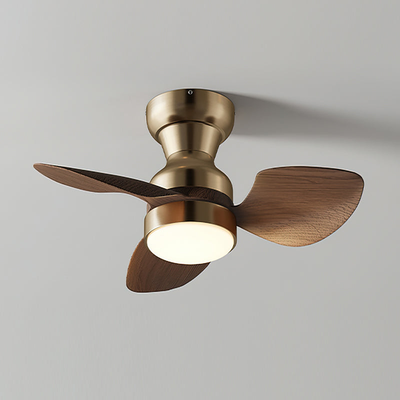 ALDERSON AURORA CEILING ILLUMINATOR