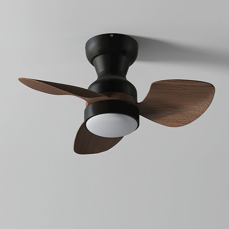 ALDERSON AURORA CEILING ILLUMINATOR