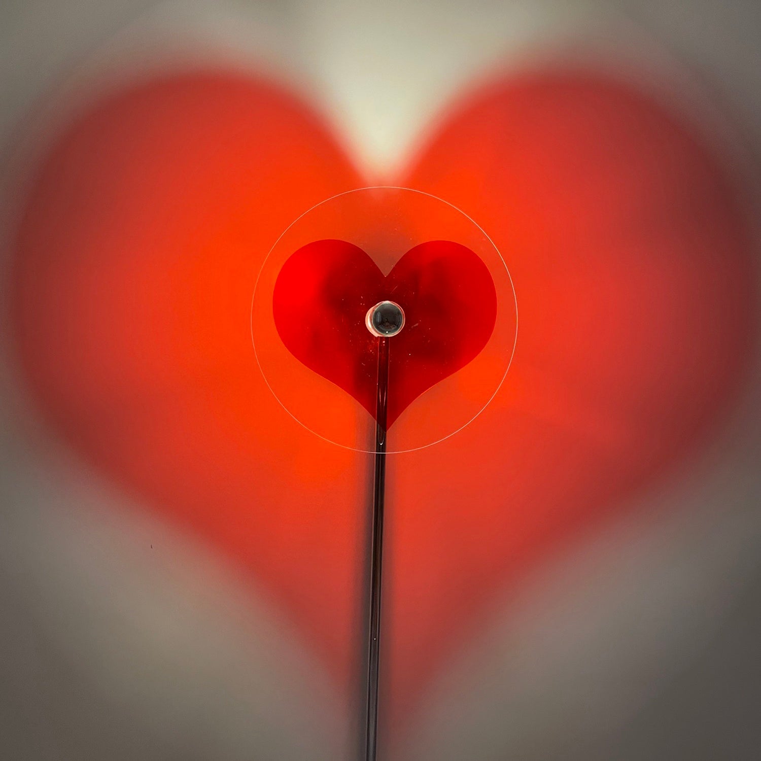 AMARYLLIS HEARTBEAT LUMINAIRE