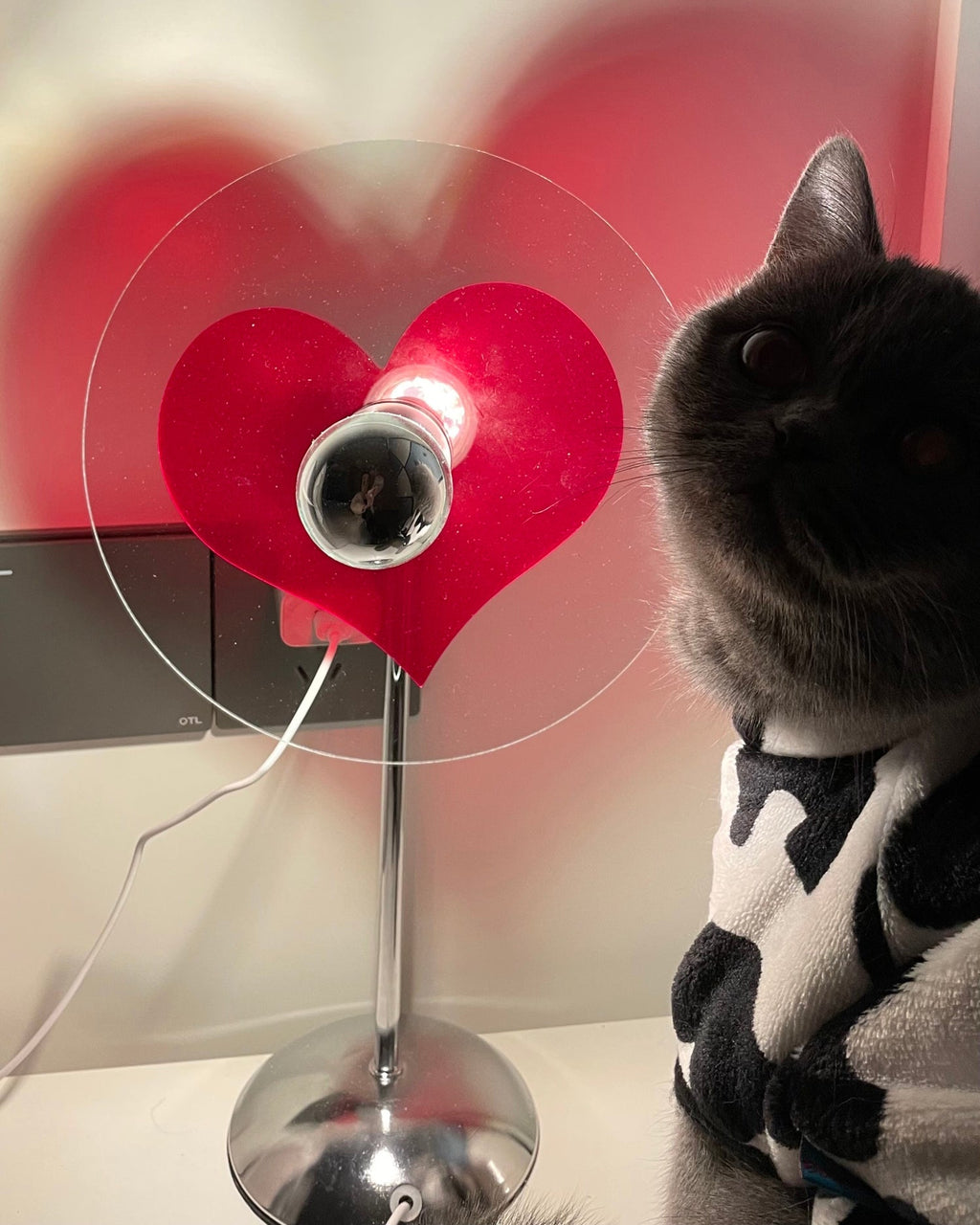 HEATHCLIFF HEARTFELT ILLUMINATION LAMP