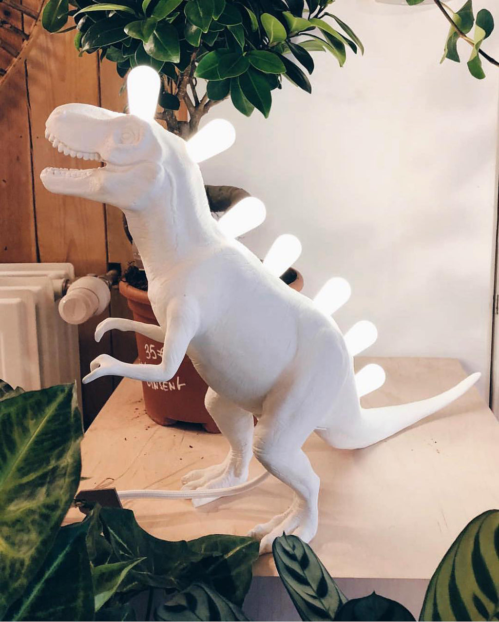 THORNBURY DINOSAURINE ILLUMINATOR