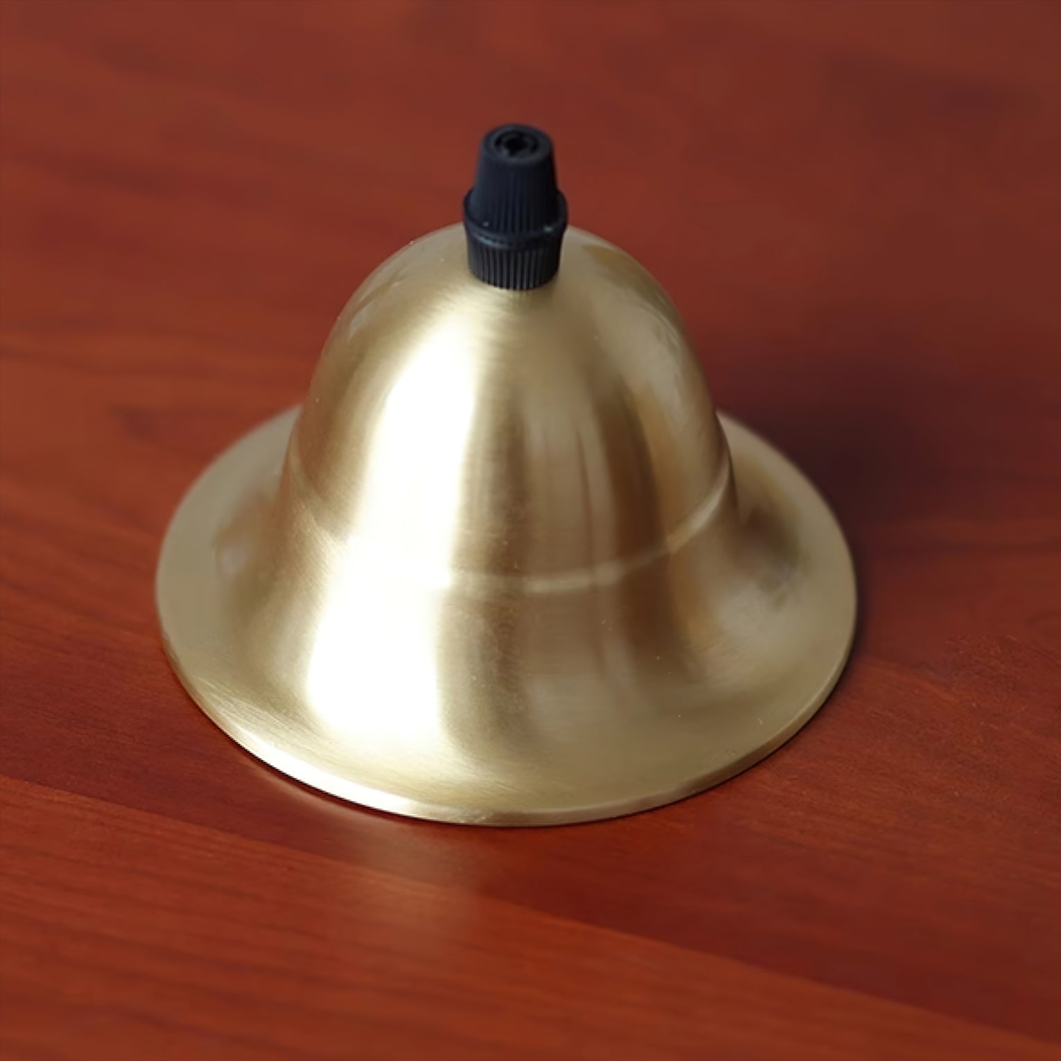 FENWICK VINE INLAY PENDANT LIGHT