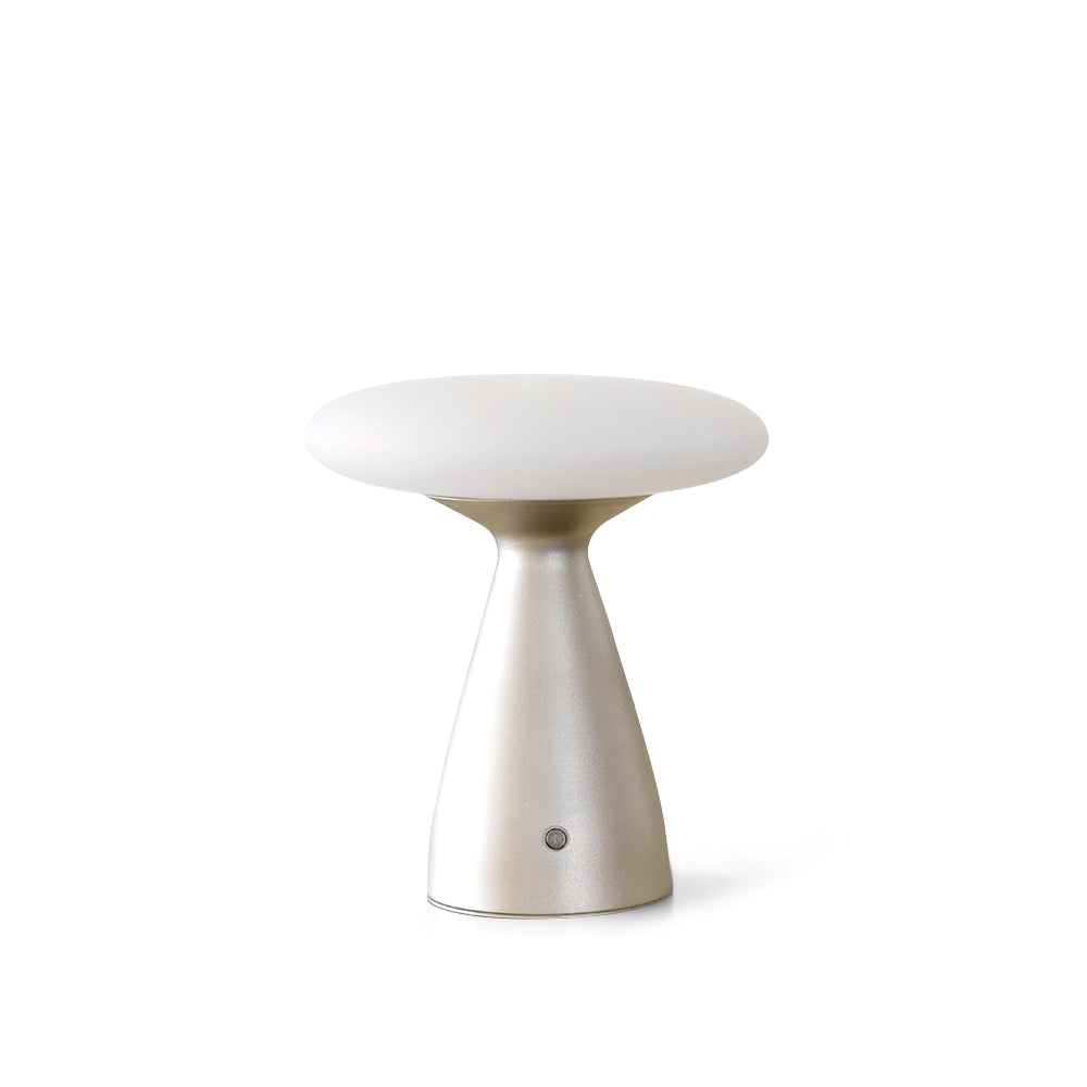 FENWICK RUSTIC BRASS TABLE LANTERN
