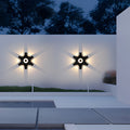 CHARLOTTESVILLE PETAL-INSPIRED AQUATIC WALL ILLUMINATOR