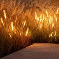 WILLOUGHBY FROSTED ACRYLIC GARDEN LANTERNS SET"  
2. "BRAMBLETON WATERPROOF OUTDOOR REED LIGHTING COLLECTION"  
3. "CAVENDISH ACRYLIC STICK LUMINAIRE FOR LANDSCAPING"  
4. "HASTINGS FROSTED GLOWING STICKS FOR EXTERIOR ILLUMINATION"  
5. "SOMERSET RAIN-RES