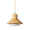 RAVENSCROFT HANGING LIGHTING CAGE