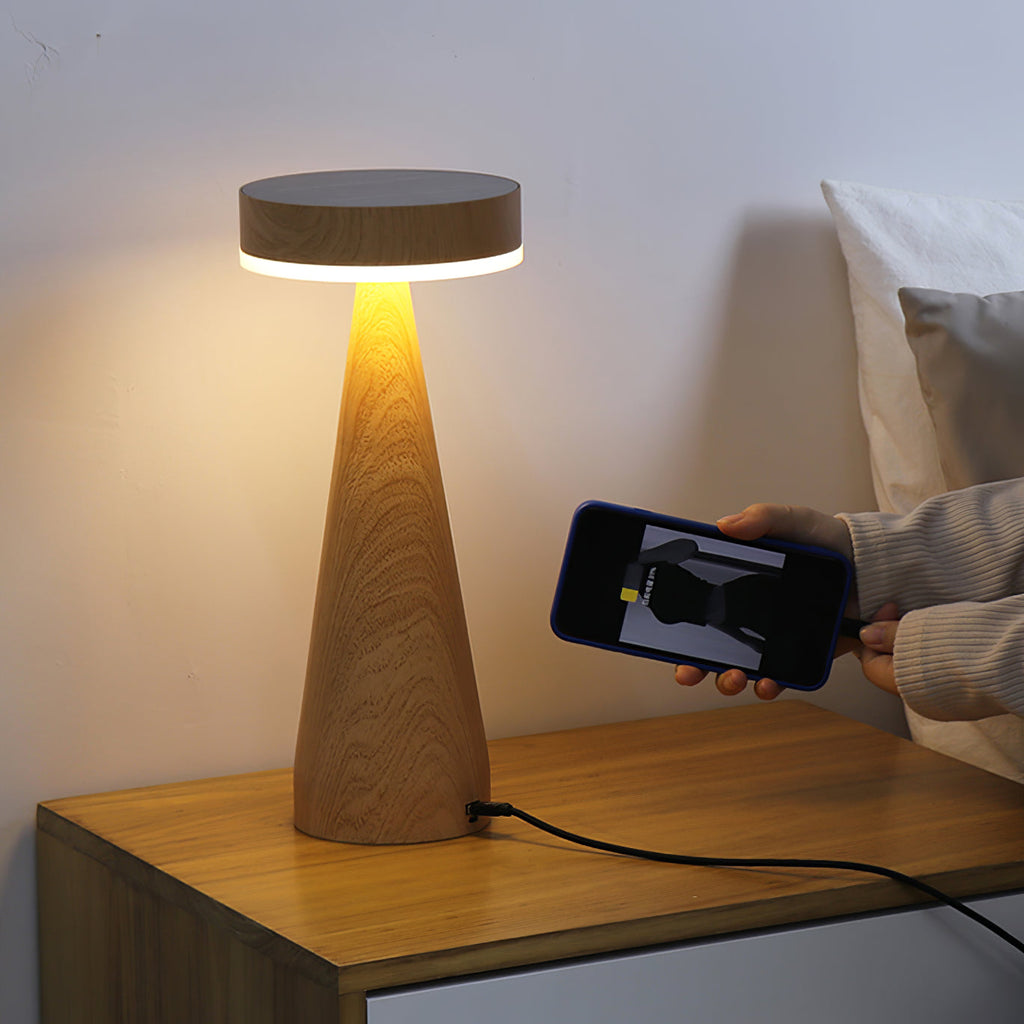 FENWICK PORTABLE ILLUMINATION LAMP