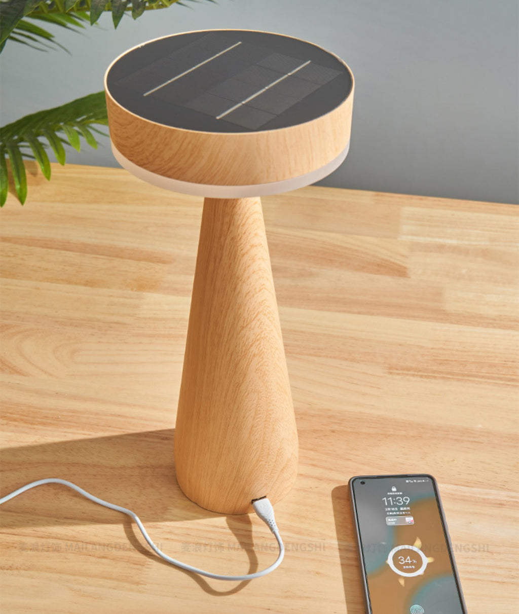 FENWICK PORTABLE ILLUMINATION LAMP