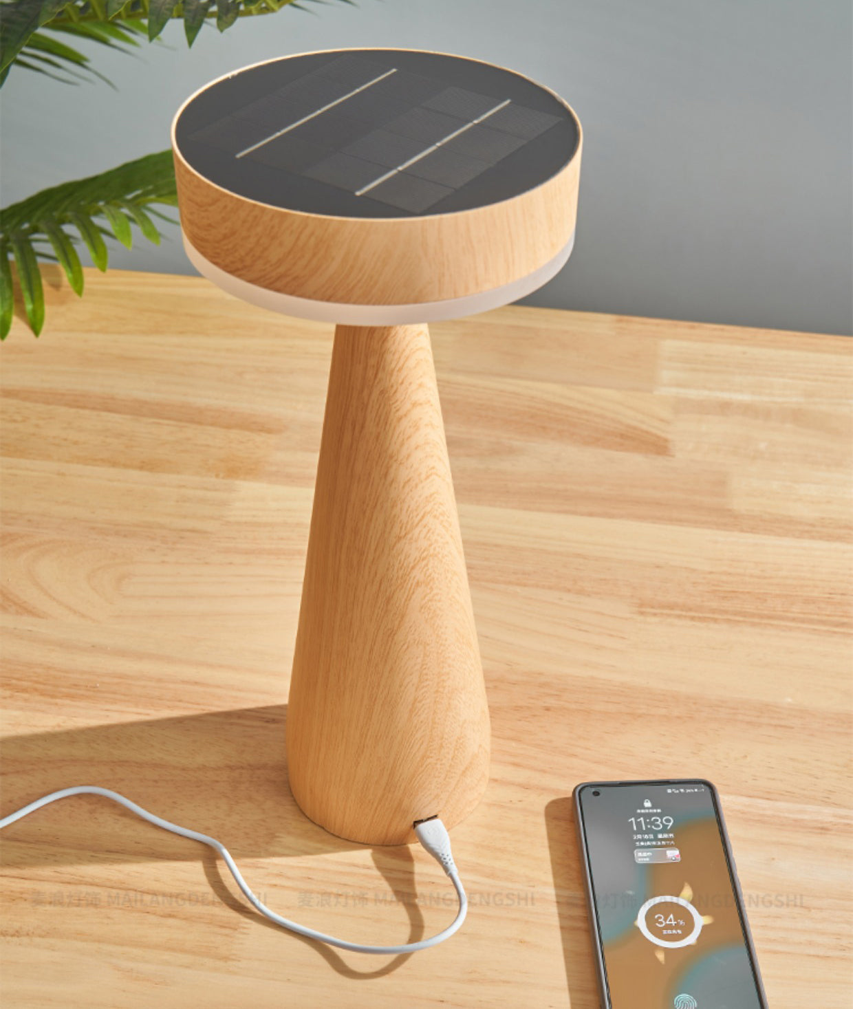 FENWICK PORTABLE ILLUMINATION LAMP