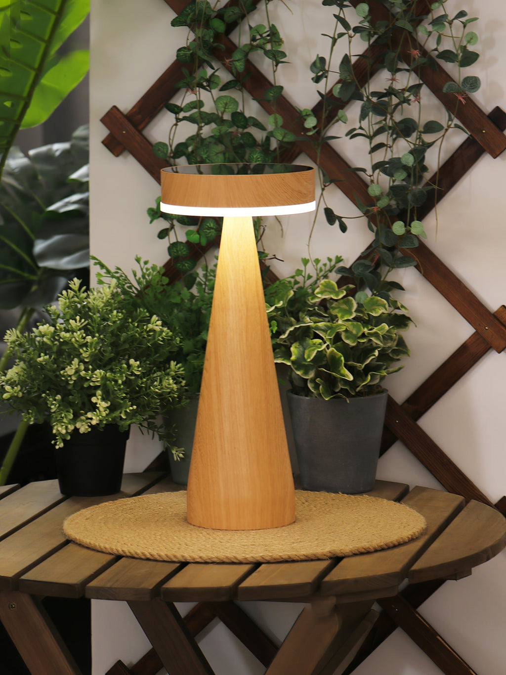 FENWICK PORTABLE ILLUMINATION LAMP
