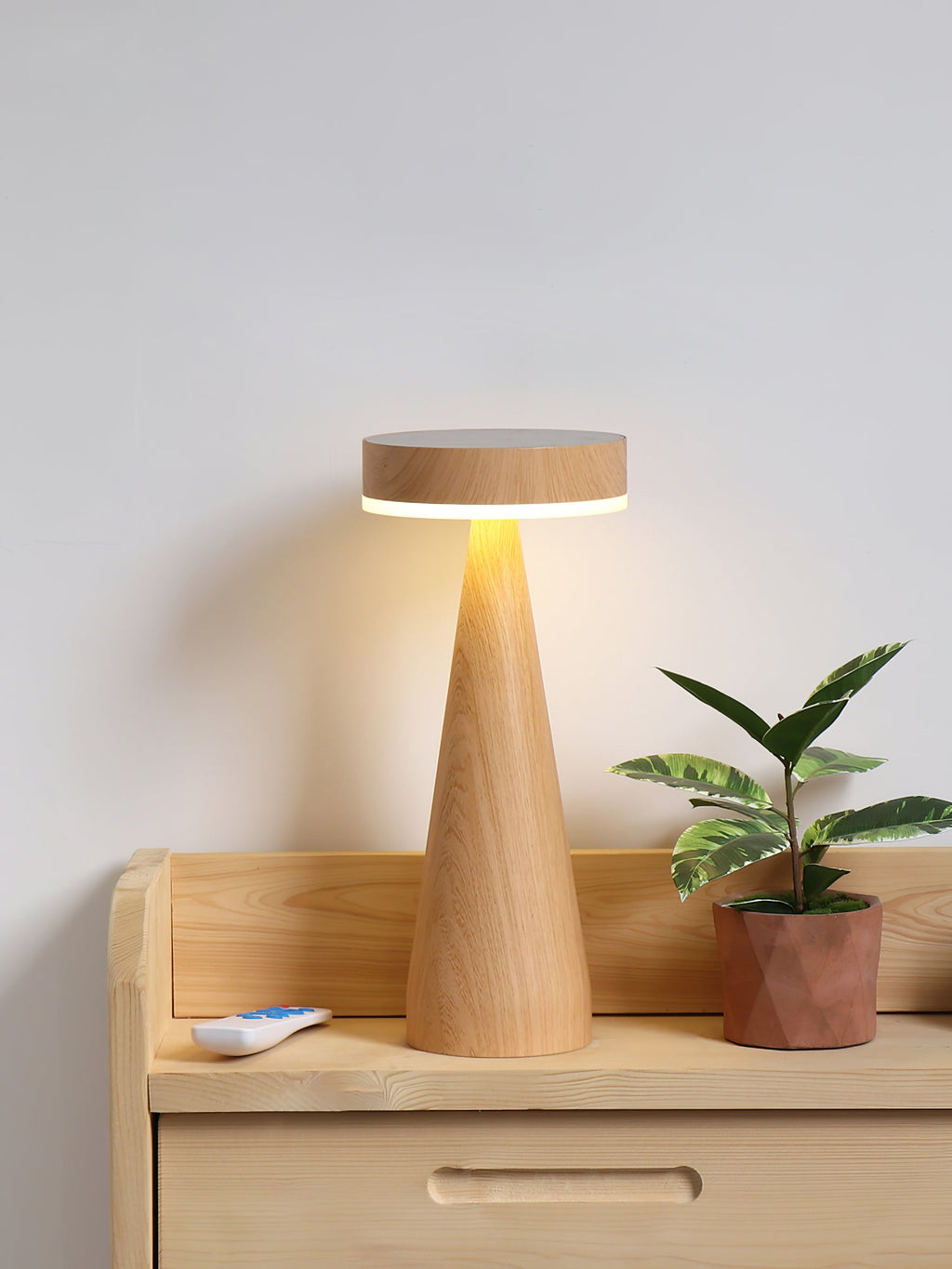 FENWICK PORTABLE ILLUMINATION LAMP