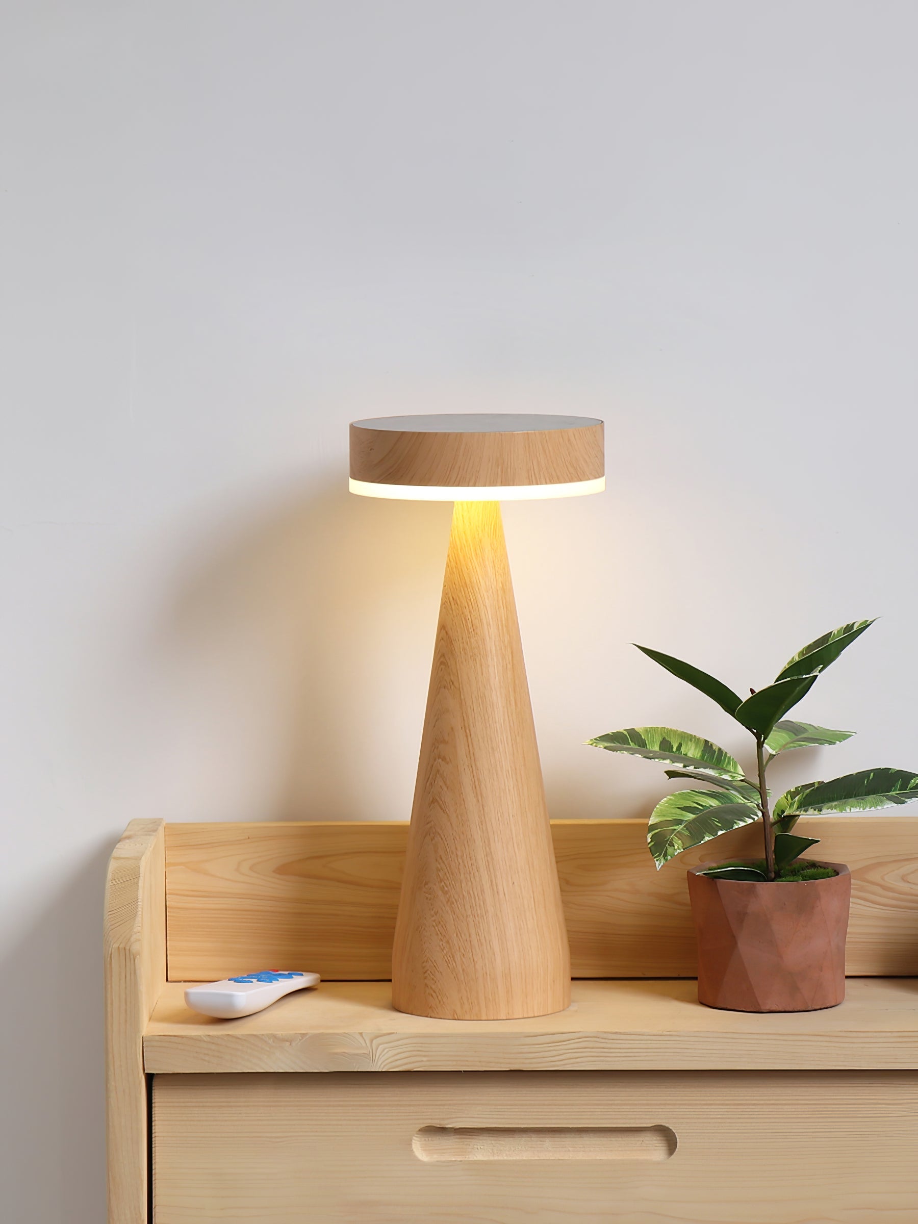 FENWICK PORTABLE ILLUMINATION LAMP