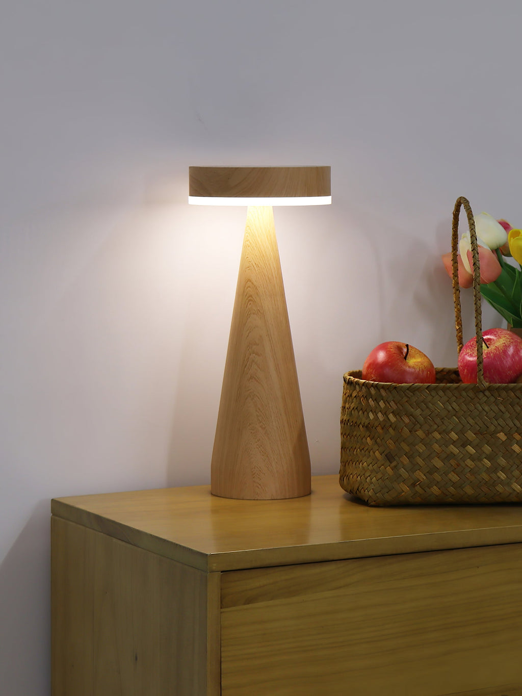 FENWICK PORTABLE ILLUMINATION LAMP